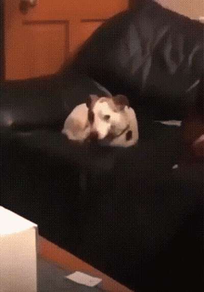 Cartoon Network Character GIF