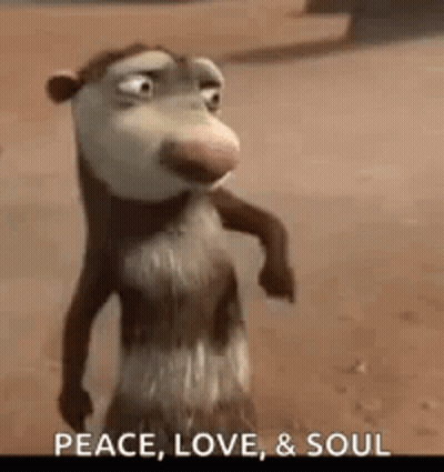 Cartoon Opossum On Beach Saying Peace Love And Soul GIF