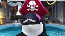 Cartoon Orca In A Pool GIF
