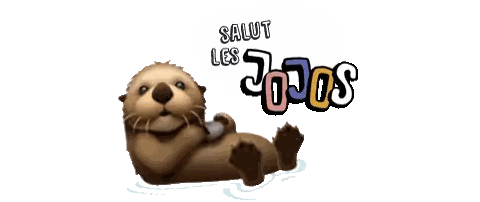 Cartoon Otter Salut Les Jojo Sticker