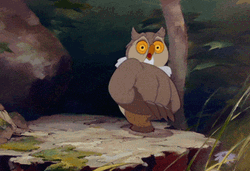 Cartoon Owl Turning Head In 360 Angle
