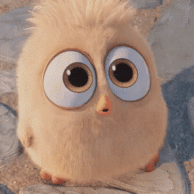 Cartoon Owl With Big Eyes Surprised