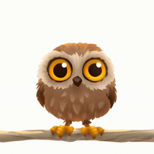 Cartoon Owl With Big Yellow Eyes GIF