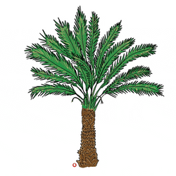 Cartoon Palm Tree Bearing Fruits GIF