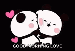 Cartoon Panda Good Morning Love