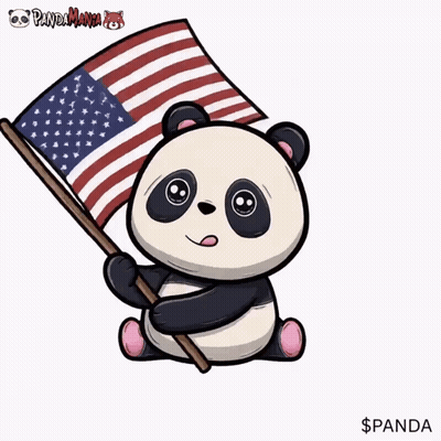 Cartoon Panda Holding American Flag Saying Panda GIF