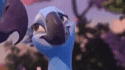 Cartoon Parrot Close Up GIF