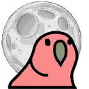 Cartoon Parrot Looking At Moon Sticker