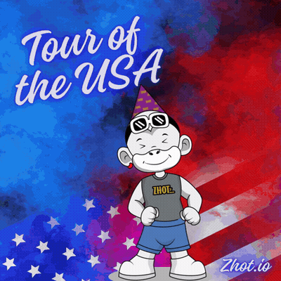 Cartoon Party Hat Sunglasses Flag Tour Of US GIF