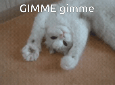 Cartoon Penguin Saying Hey Thereee GIF