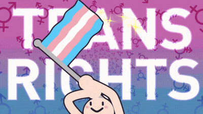 Cartoon Person Holding Transgender Flag With Trans Rights GIF