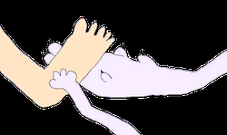 Cartoon Pet Doing His Foot Massage GIF