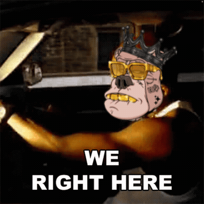 Cartoon Pig In Sunglasses And Crown Driving Car We Right Here GIF