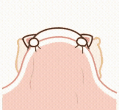 Cartoon Pig Laying Under Pink Blanket Crying GIF