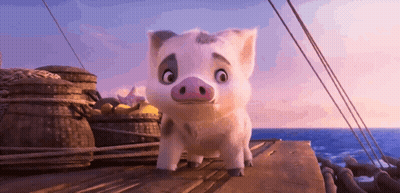 Cartoon Pig On Boat Near Ocean GIF