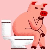 Cartoon Pig Pooping GIF