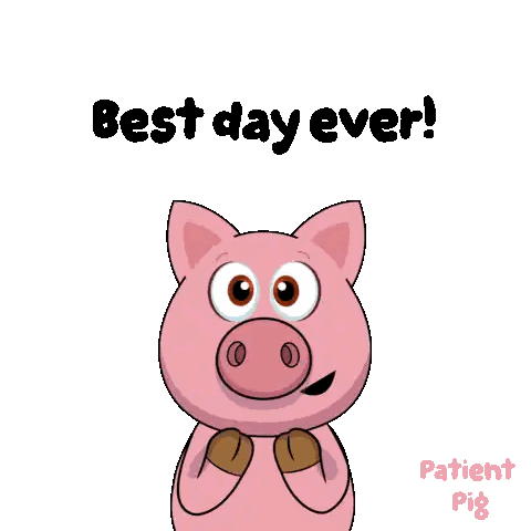 Cartoon Pig Saying Best Day Ever Sticker