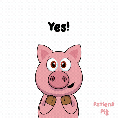 Cartoon Pig Says Yes And Patient Pig GIF