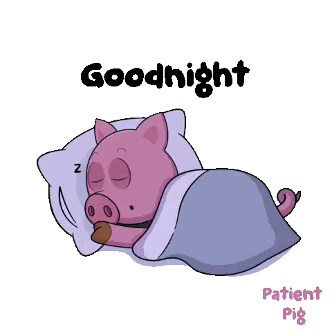 Cartoon Pig Sleeping Goodnight Sticker