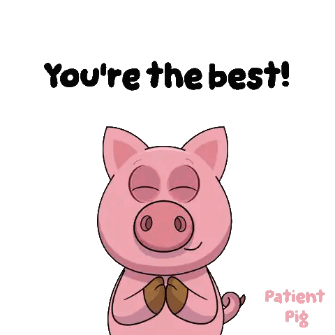 Cartoon Pig You're The Best Sticker