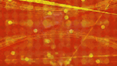 Cartoon Pirate With Beard On Orange Background GIF