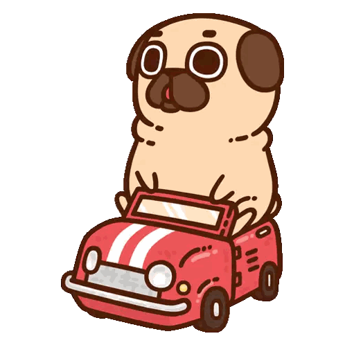 Cartoon Pug Driving Red Car Sticker