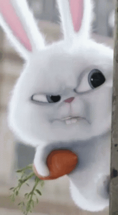 Cartoon Rabbit Holding Carrot GIF