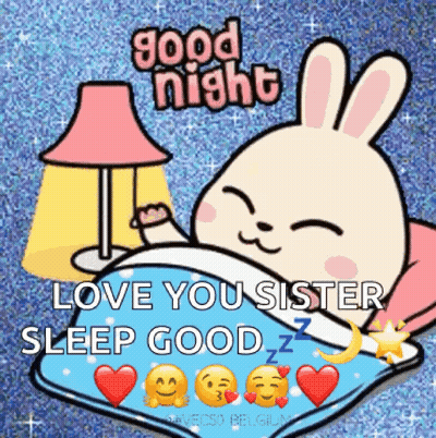 Cartoon Rabbit In Bed Good Night Love You Sister GIF