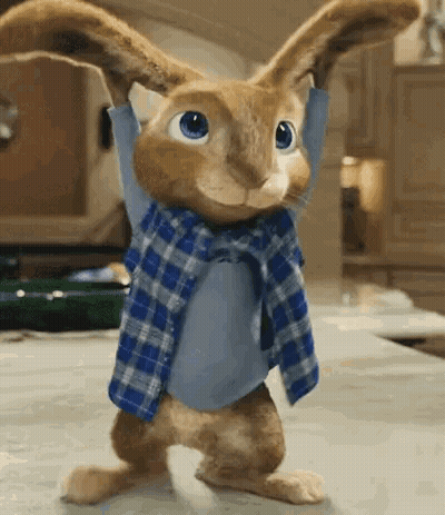 Cartoon Rabbit In Blue Plaid Shirt And Scarf Standing On Table GIF