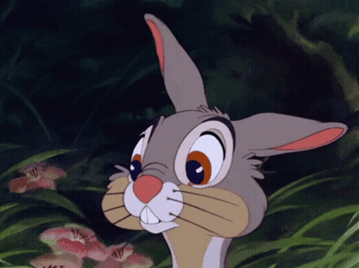Cartoon Rabbit In Grass Looking At Camera GIF