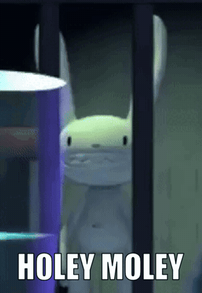 Cartoon Rabbit Saying Holey Moley GIF