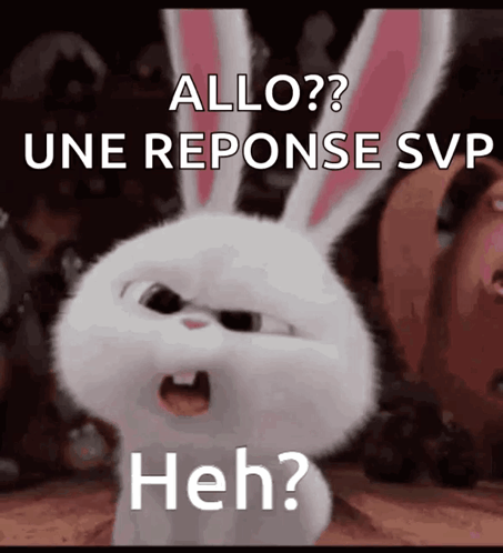 Cartoon Rabbit Says Allo And Response GIF