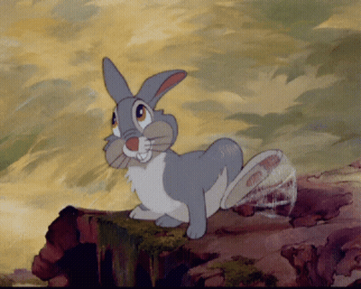 Cartoon Rabbit Standing On Rock Looking At Camera GIF