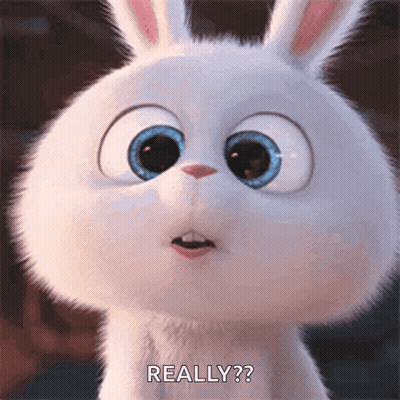 Cartoon Rabbit With Big Blue Eyes Saying Really GIF
