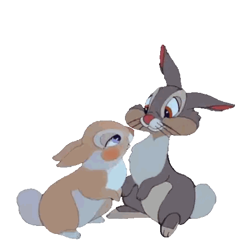 Cartoon Rabbits Looking At Each Other Sticker