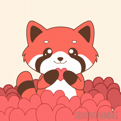 Cartoon Raccoon Holding Heart In Front Of Face GIF