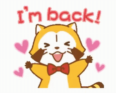 Cartoon Raccoon In Bow Tie Says I'm Back GIF