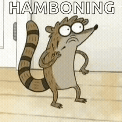 Cartoon Raccoon Making Funny Face GIF