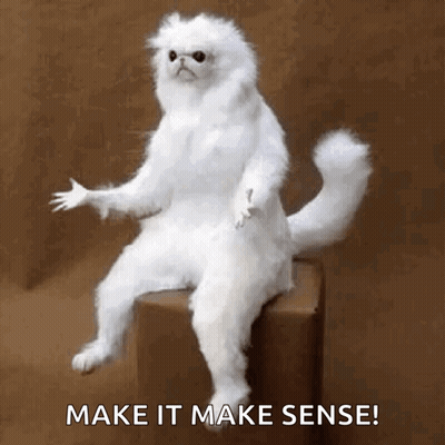 Cartoon Saying By All Accounts It Doesn't Make Sense GIF