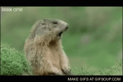 Cartoon Saying I'm Going To Figure It Out GIF