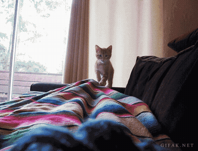 Cartoon Saying What Do You Need Old Buddy Old Pal Old Chum Of Mine GIF