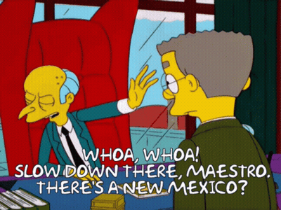 Cartoon Says Whoa Slow Down There Maestro New Mexico GIF