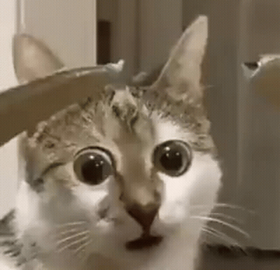 Cartoon Says You Will Just Have To Wait And See GIF