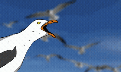 Cartoon Seagull Saying Meeeee Eeeeee Eeeeee Eeeppp GIF