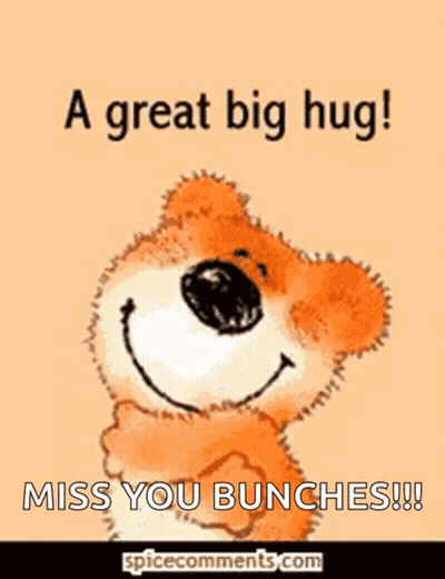 Cartoon Seal Miss You GIF