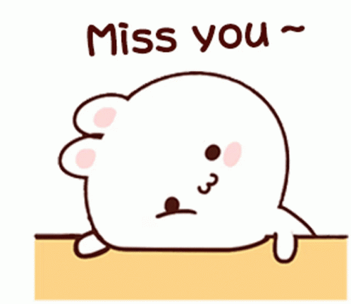 Cartoon Seal Miss You GIF