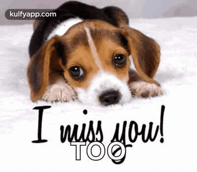 Cartoon Seal Saying Miss You Jeanne Two Hearts GIF