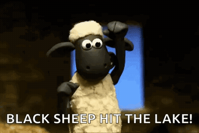 Cartoon Sheep Saying Black Sheep Hit The Lake GIF