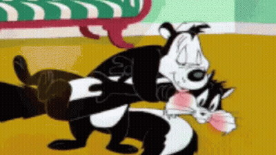Cartoon Skunk Holding Cat With Another Skunk Looking On GIF