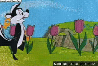 Cartoon Skunk In Field Of Flowers GIF